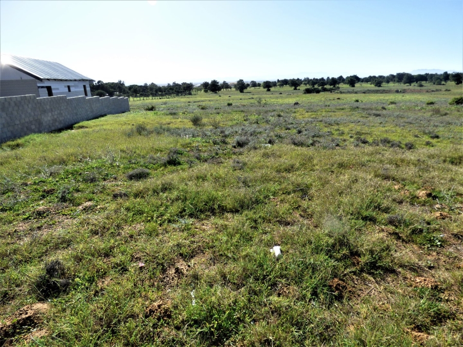 0 Bedroom Property for Sale in Darling Western Cape